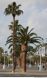 Photo of Mixed Textures